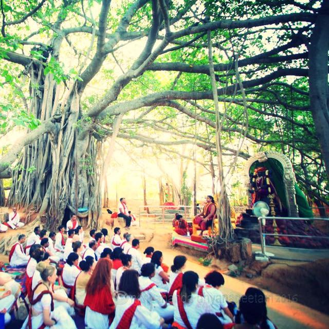 Kalpataru (Wish Fulling) Banyan Tree